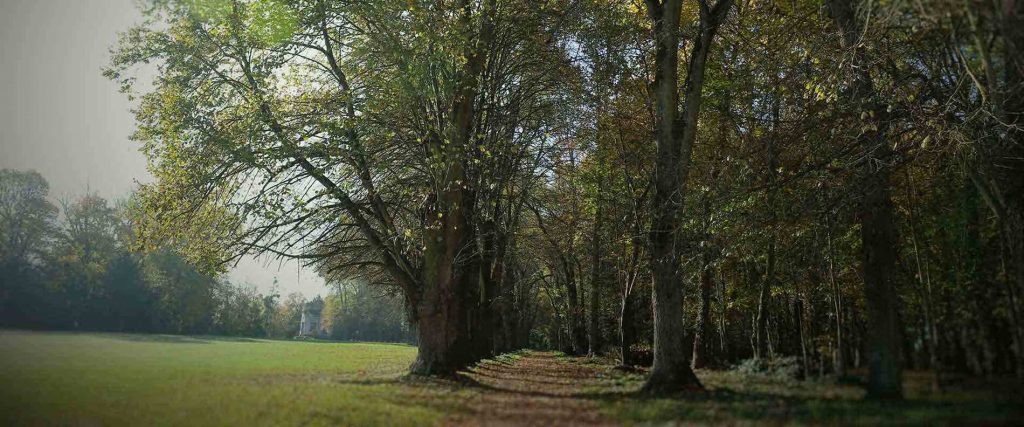 Parc © Château de Meung